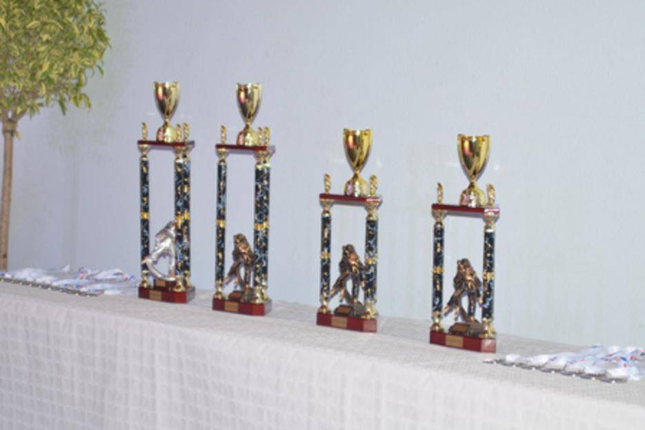 Les trophes mdailles et les kimonos offerts aux vainqueurs ont t offert par notre sponsor SFJAM